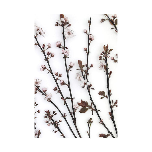 Mercana - Budding Blossom by Frank Assaf a Hand Embellished Textured Canvas - 101798-L view 1