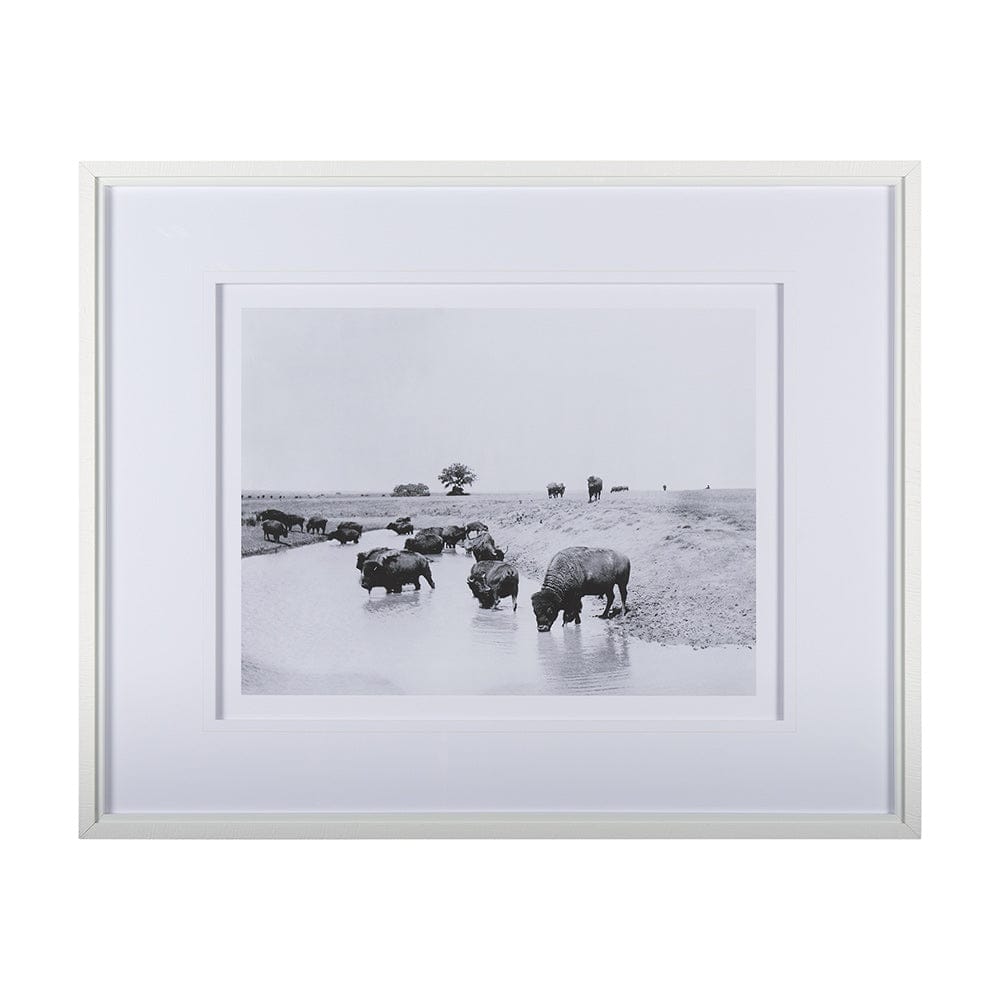 Mercana - Buffalo Brook by Mercana Studio a Hand Embellished Textured Framed Art Photograph Matted under Glass - 14940 view 1