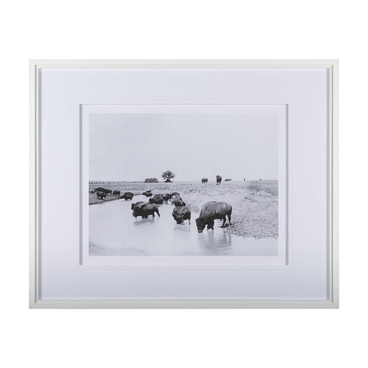 Mercana - Buffalo Brook by Mercana Studio a Hand Embellished Textured Framed Art Photograph Matted under Glass - 14940 view 1