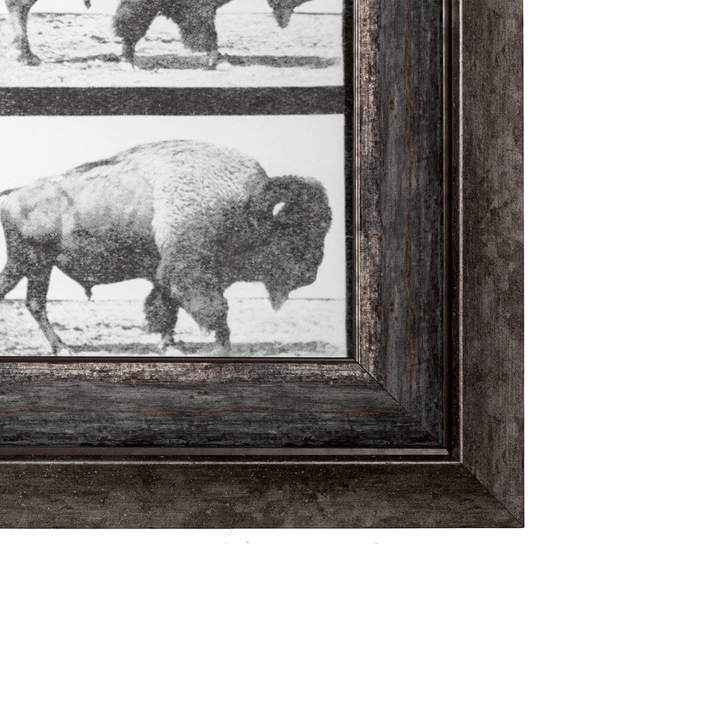Mercana - Buffalo Walking by Eadweard Muybridge Hand Embellished Textured Framed Art Print Matted under Glass - 13683 view 3