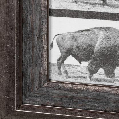 Mercana - Buffalo Walking by Eadweard Muybridge Hand Embellished Textured Framed Art Print Matted under Glass - 13683 view 5