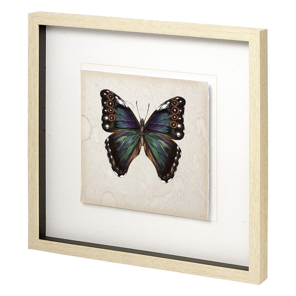 Mercana - Butterfly Study III by Melissa Wang a Hand Embellished Textured Framed Art Print Matted under Glass - 11349 view 1