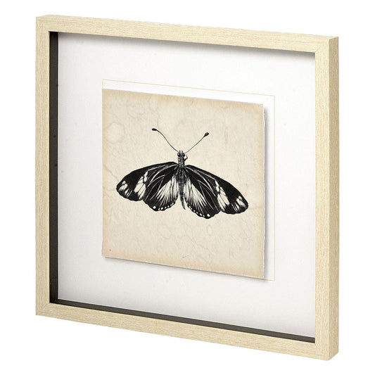 Mercana - Butterfly Study VI by Melissa Wang a Hand Embellished Textured Framed Art Print Matted under Glass - 11352 view 1