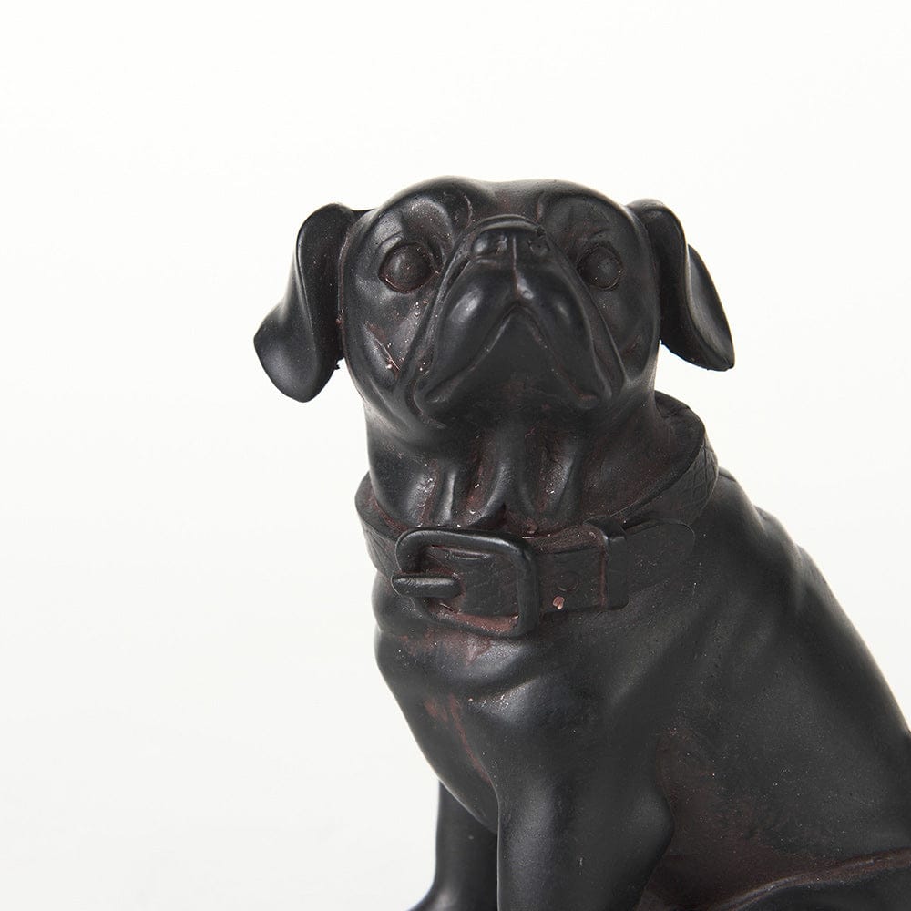 Mercana - Cadence 4L x 5W Black Resin Pug Dog - 57798 view 7