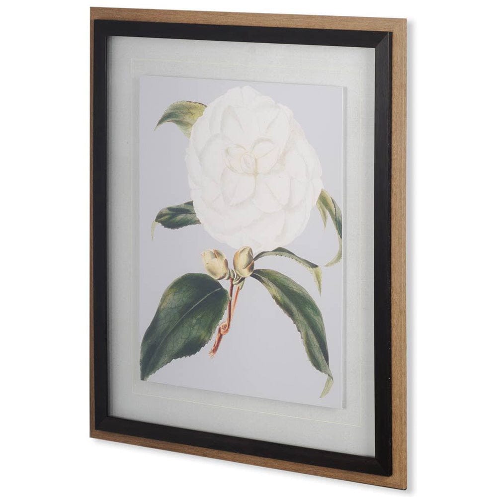 Mercana - Camellia Japonica I by Vision Studio a Hand Embellished Textured Framed Art Print Matted under Glass - 10569 view 1