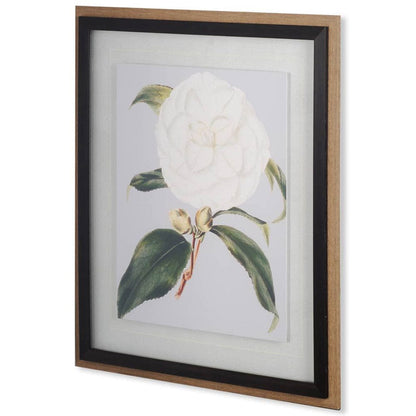 Mercana - Camellia Japonica I by Vision Studio a Hand Embellished Textured Framed Art Print Matted under Glass - 10569 view 1