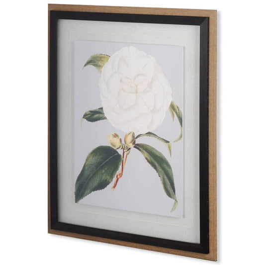 Mercana - Camellia Japonica I by Vision Studio a Hand Embellished Textured Framed Art Print Matted under Glass - 10569 view 1