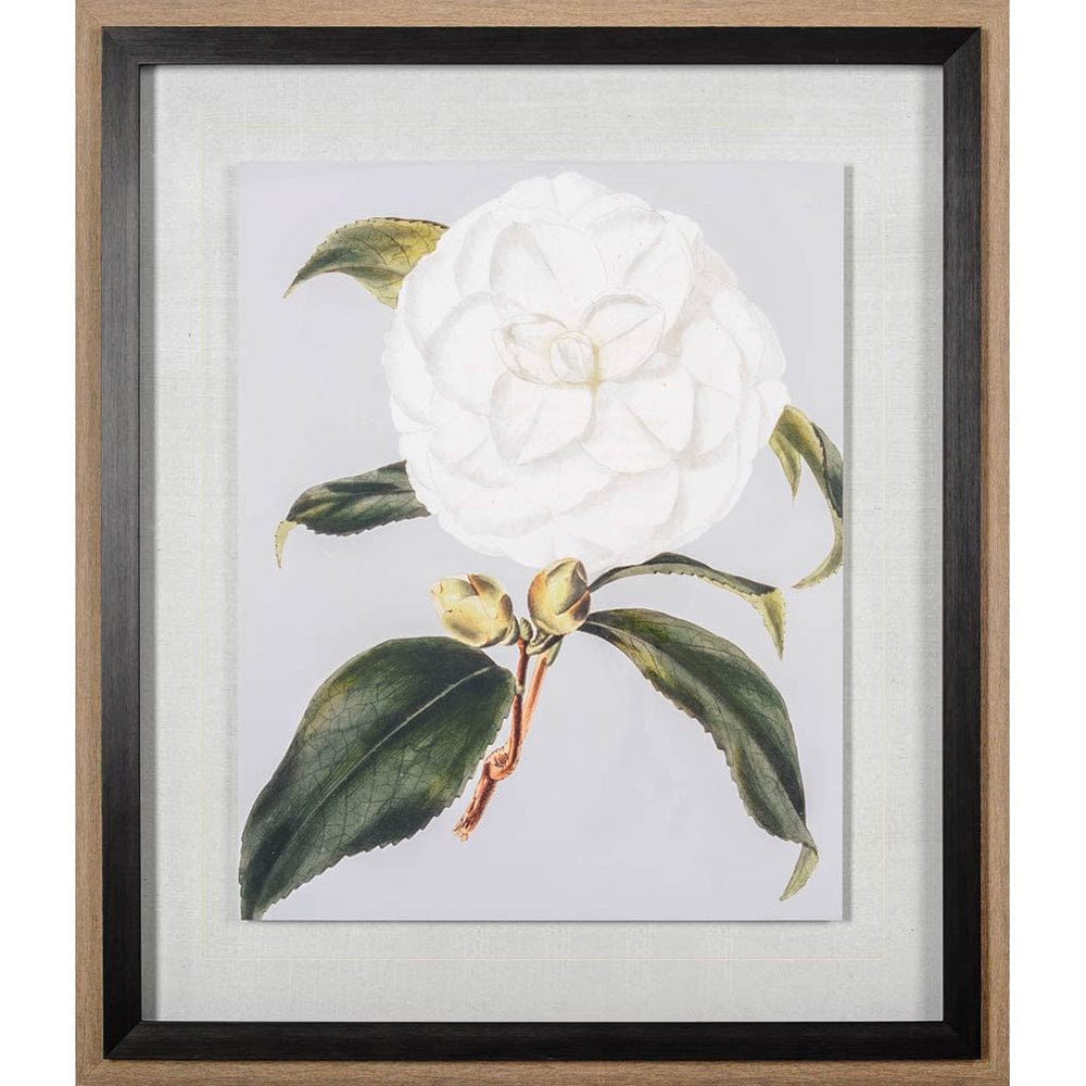 Mercana - Camellia Japonica I by Vision Studio a Hand Embellished Textured Framed Art Print Matted under Glass - 10569 view 2