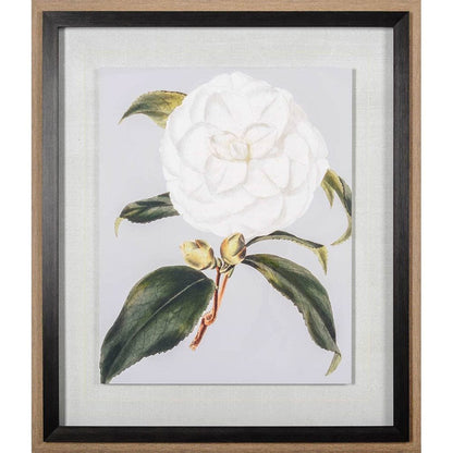 Mercana - Camellia Japonica I by Vision Studio a Hand Embellished Textured Framed Art Print Matted under Glass - 10569 view 2
