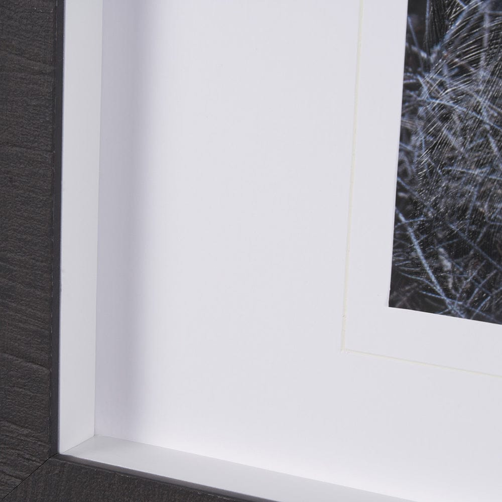 Mercana - Cautious Gaze by Chad Mackay a Hand Embellished Framed Art Print Matted under Glass - 15622 view 5