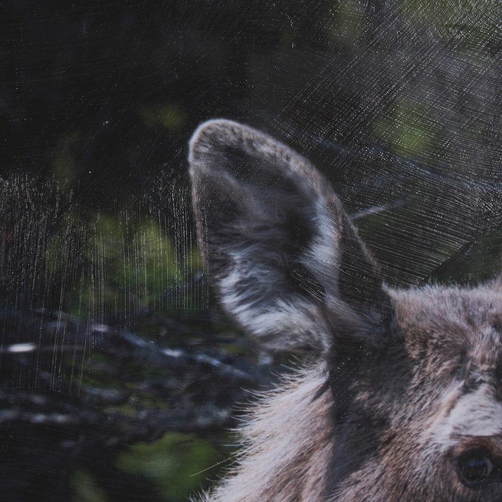 Mercana - Cautious Gaze by Chad Mackay a Hand Embellished Framed Art Print Matted under Glass - 15622 view 6
