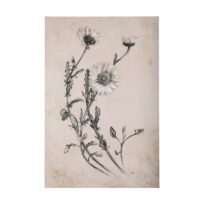 Mercana - Chamomile Drawing I by Mercana Studio a Hand Embellished Textured Canvas - 102451-L view 1