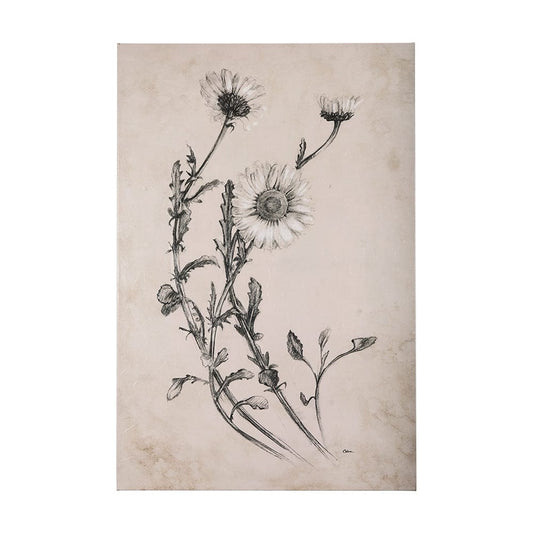 Mercana - Chamomile Drawing I by Mercana Studio a Hand Embellished Textured Canvas - 102451-S view 1