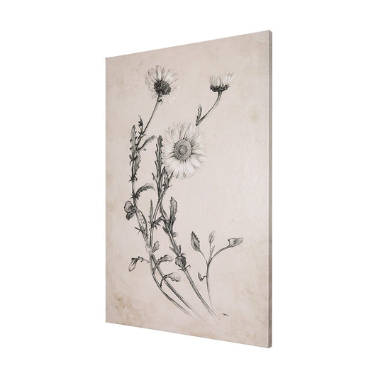 Mercana - Chamomile Drawing I by Mercana Studio a Hand Embellished Textured Canvas - 102451-S view 2