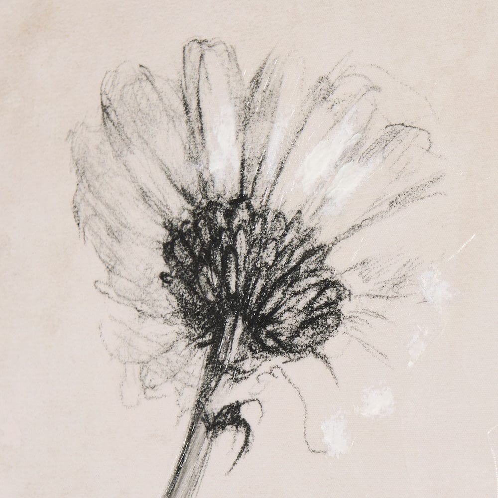 Mercana - Chamomile Drawing I by Mercana Studio a Hand Embellished Textured Canvas - 102451-S view 7