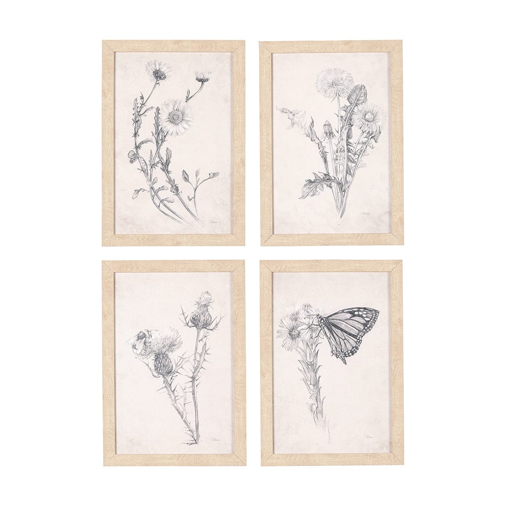 Mercana - Chamomile Drawing I by Mercana Studio a Hand Embellished Textured Framed Art Print - 14784 view 1