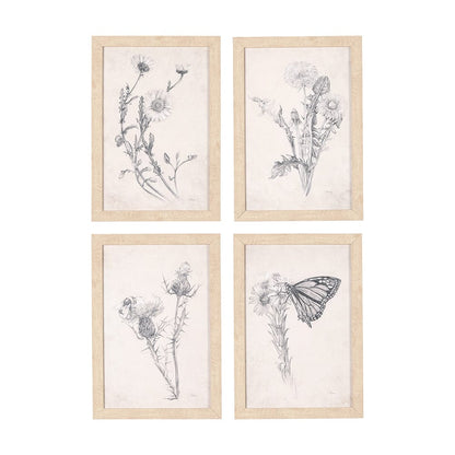 Mercana - Chamomile Drawing I by Mercana Studio a Hand Embellished Textured Framed Art Print - 14784 view 1