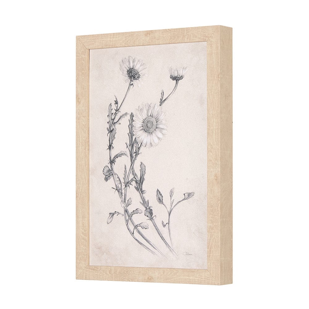 Mercana - Chamomile Drawing I by Mercana Studio a Hand Embellished Textured Framed Art Print - 14784 view 2