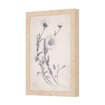 Mercana - Chamomile Drawing I by Mercana Studio a Hand Embellished Textured Framed Art Print - 14784 view 2