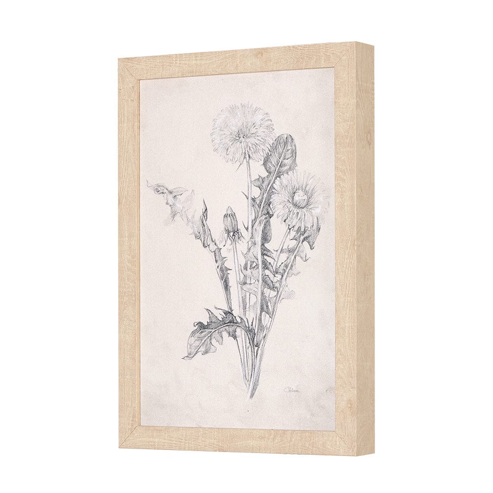 Mercana - Chamomile Drawing I by Mercana Studio a Hand Embellished Textured Framed Art Print - 14784 view 3
