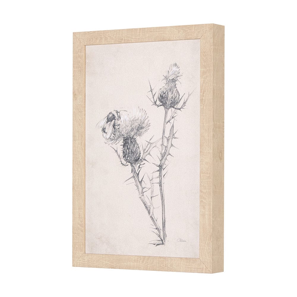 Mercana - Chamomile Drawing I by Mercana Studio a Hand Embellished Textured Framed Art Print - 14784 view 4