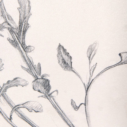 Mercana - Chamomile Drawing I by Mercana Studio a Hand Embellished Textured Framed Art Print - 14784 view 10