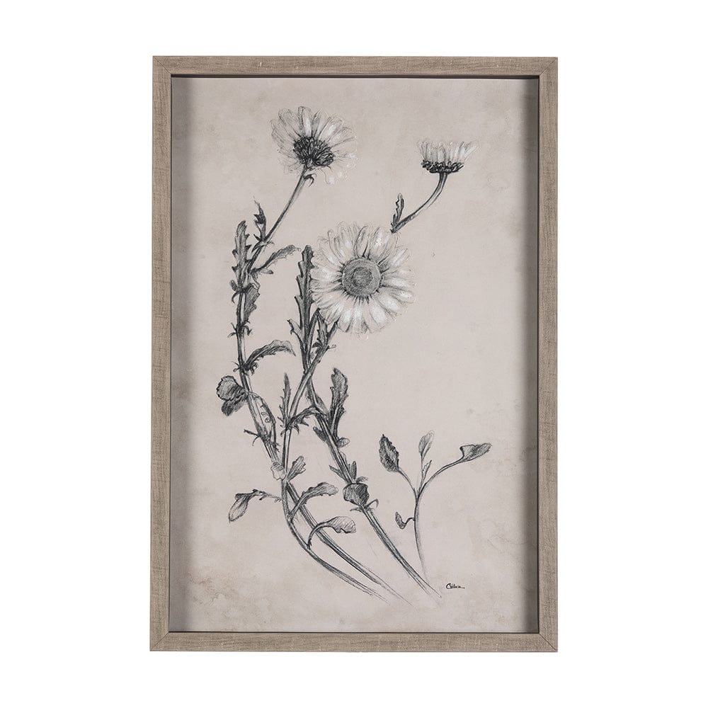 Mercana - Chamomile Drawing I by Mercana Studio Hand Embellished Textured Framed Art Print Matted under Glass - 14701 view 1