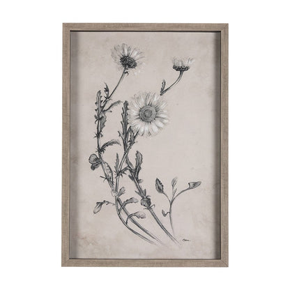 Mercana - Chamomile Drawing I by Mercana Studio Hand Embellished Textured Framed Art Print Matted under Glass - 14701 view 1