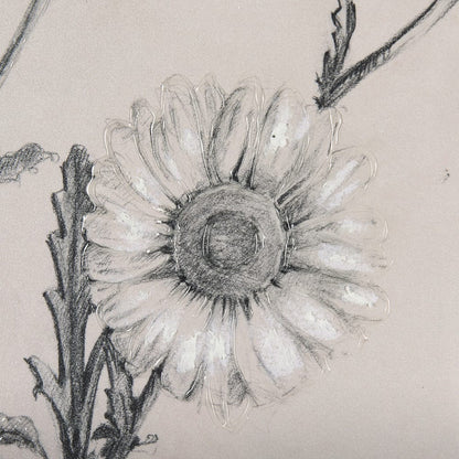 Mercana - Chamomile Drawing I by Mercana Studio Hand Embellished Textured Framed Art Print Matted under Glass - 14701 view 7