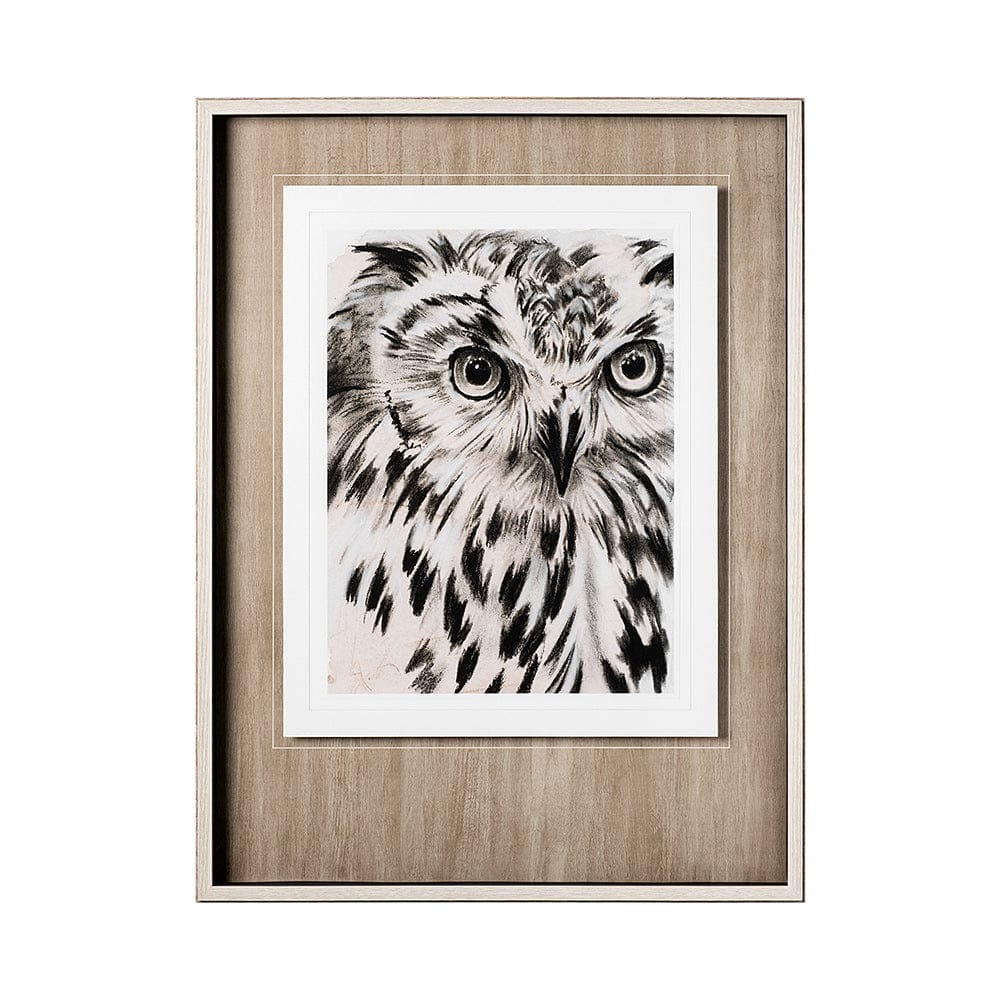 Mercana - Charcoal Owl I by Jennifer Paxton Parker a Framed Art Print Matted under Glass - 12653 view 1