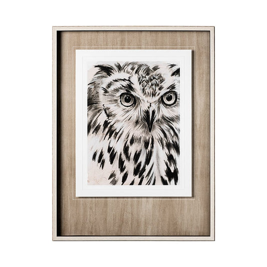 Mercana - Charcoal Owl I by Jennifer Paxton Parker a Framed Art Print Matted under Glass - 12653 view 1
