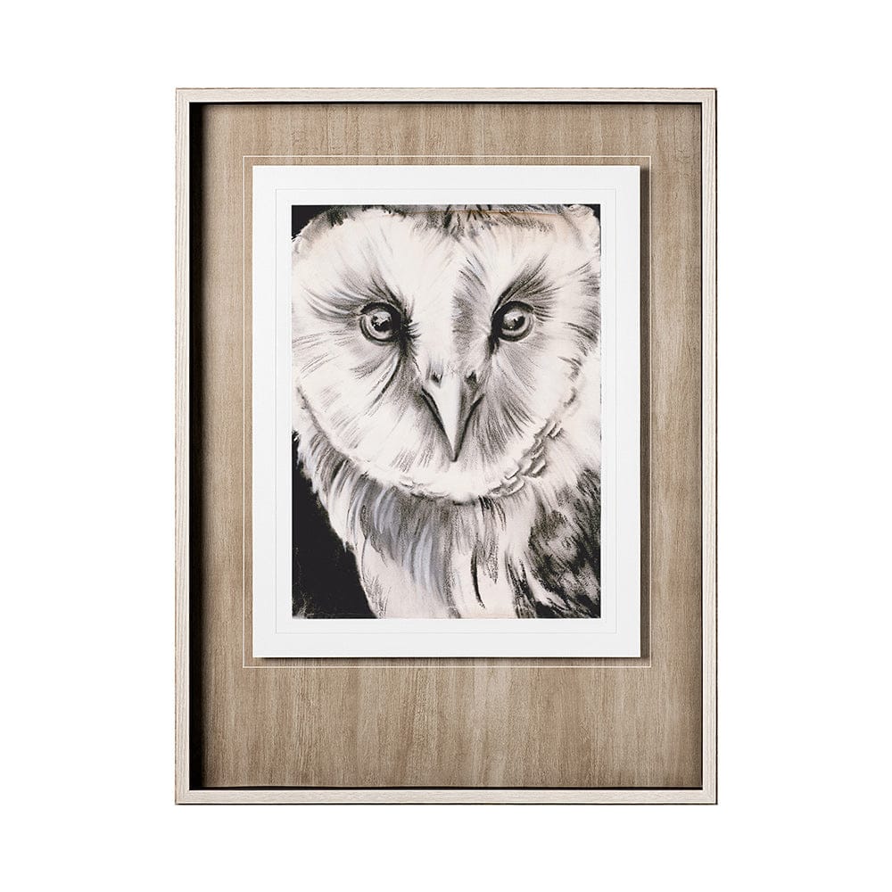Mercana - Charcoal Owl II by Jennifer Paxton Parker a Framed Art Print Matted under Glass - 12654 view 1