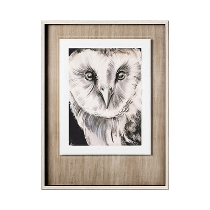 Mercana - Charcoal Owl II by Jennifer Paxton Parker a Framed Art Print Matted under Glass - 12654 view 1