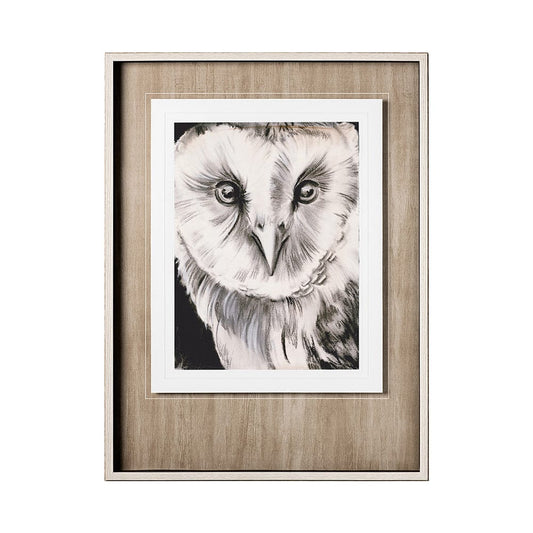 Mercana - Charcoal Owl II by Jennifer Paxton Parker a Framed Art Print Matted under Glass - 12654 view 1