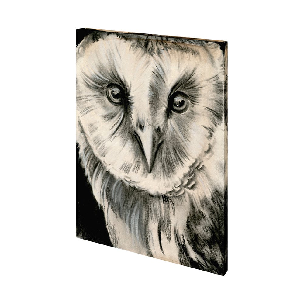 Mercana - Charcoal Owl II by Jennifer Paxton Parker a Hand Embellished Textured Canvas - 101377-S view 1