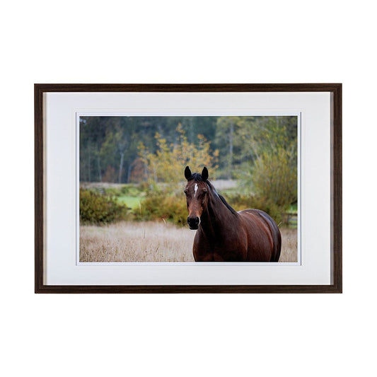 Mercana - Charlie by Katelyn Mostert a Framed Art Print Matted under Glass - 13422 view 1