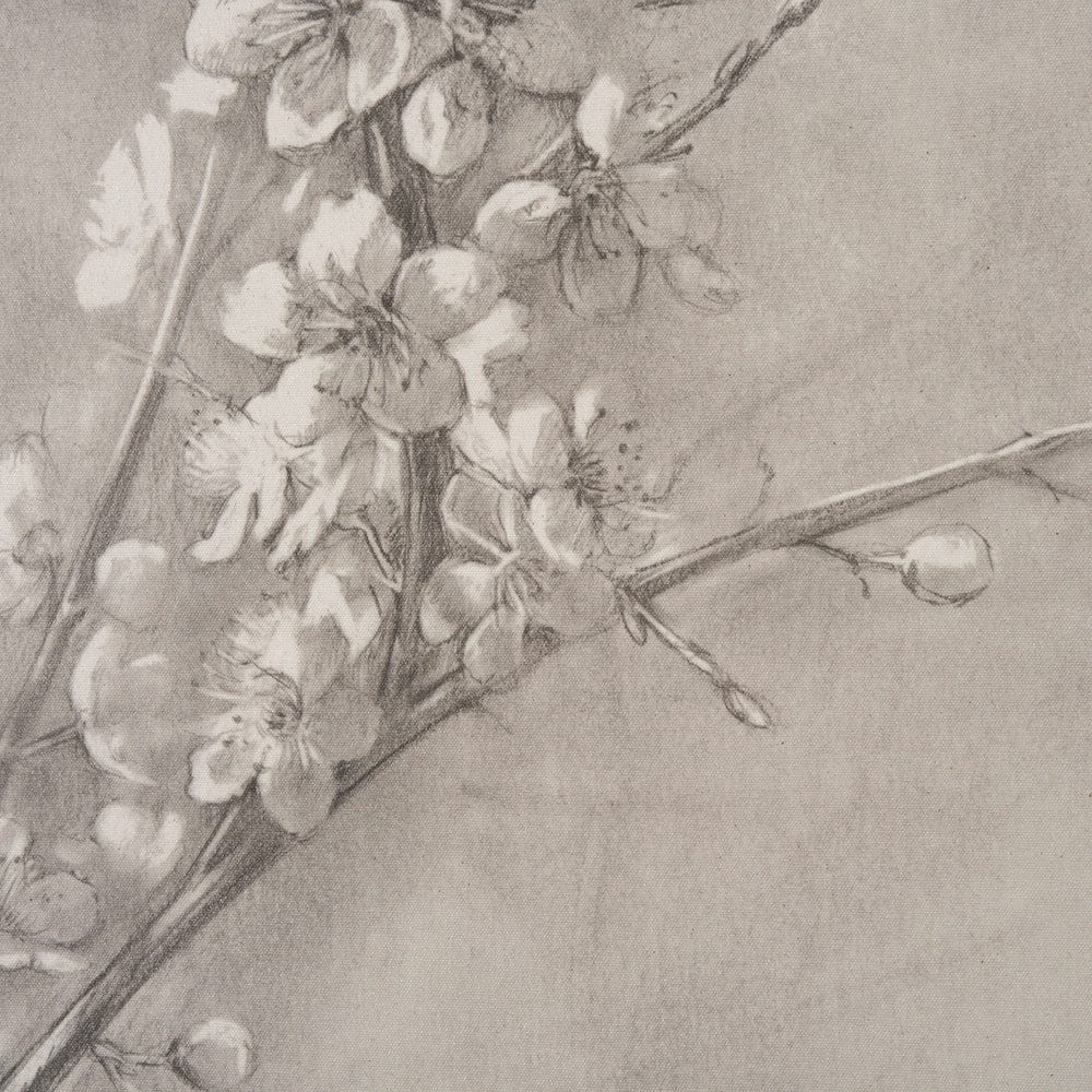 Mercana - Cherry Blossom Sketch I by Mercana Studio a Hand Embellished Framed Art Print - 15479 view 4