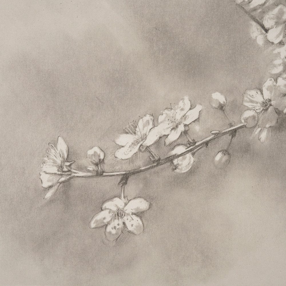 Mercana - Cherry Blossom Sketch II by Mercana Studio a Hand Embellished Framed Art Print - 15480 view 4