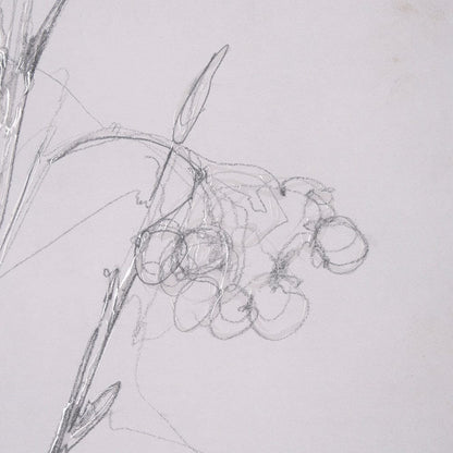 Mercana - Chokecherry 1 by Mercana Studio a Hand Embellished Framed Art Print Matted under Glass - 15559 view 7