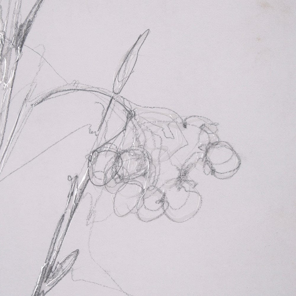 Mercana - Chokecherry 3 by Mercana Studio a Hand Embellished Framed Art Print Matted under Glass - 15561 view 7
