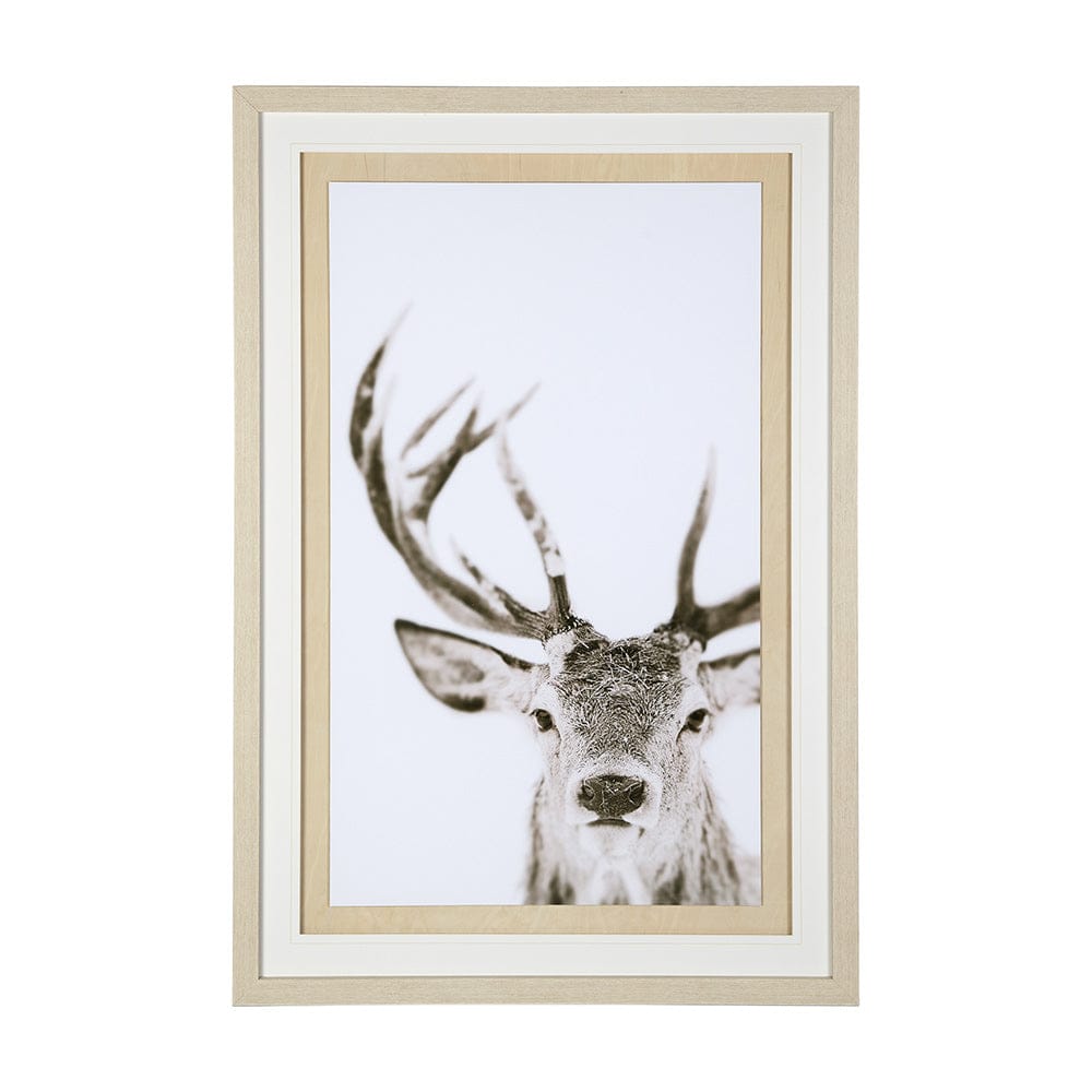 Mercana - Ciervo 1 by THE Studio a Framed Art Print Matted under Glass - 12330 view 1