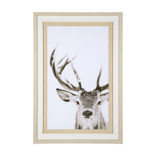 Mercana - Ciervo 1 by THE Studio a Framed Art Print Matted under Glass - 12330 view 1