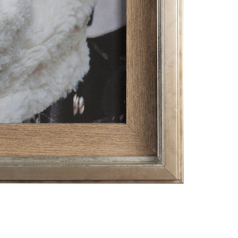 Mercana - Clever Canines by Mercana Studio a Hand Embellished Textured Framed Art Print Matted under Glass - 14640 view 3