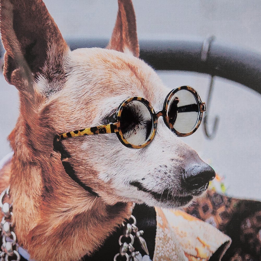 Mercana - Clever Canines by Mercana Studio a Hand Embellished Textured Framed Art Print Matted under Glass - 14640 view 6