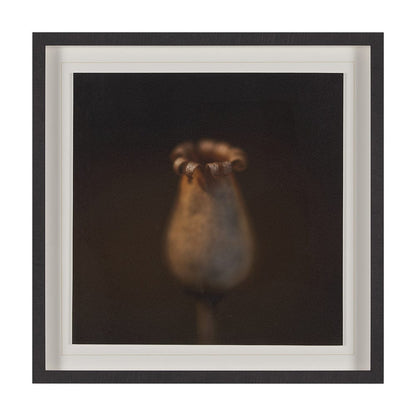 Mercana - Collecting by Stig Kalvelid a Hand Embellished Framed Art Print Matted under Glass - 15558 view 1