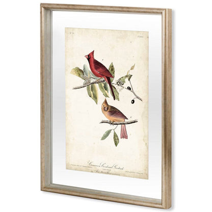 Mercana - Common Cardinal Grosbeak by John James Audubon a Framed Art Print Matted under Glass - 10477 view 1