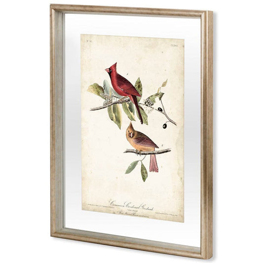 Mercana - Common Cardinal Grosbeak by John James Audubon a Framed Art Print Matted under Glass - 10477 view 1