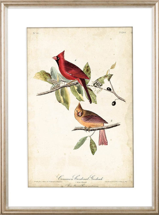 Mercana - Common Cardinal Grosbeak by John James Audubon a Framed Art Print Matted under Glass - 10477 view 2
