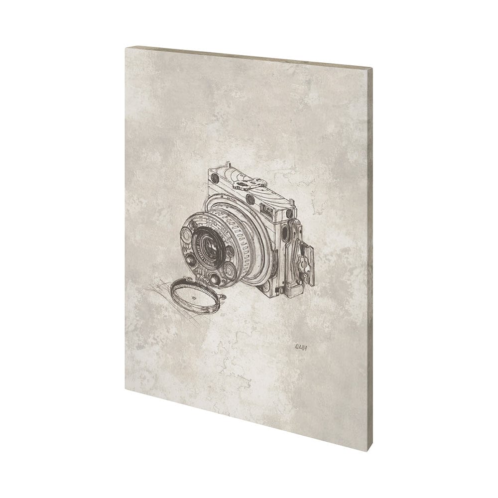 Mercana - Compass Camera Bronze I by Mercana Studio a Hand Embellished Textured Canvas - 101421-S view 1