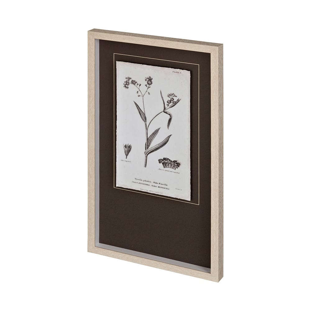 Mercana - Conversations on Botany I by Mercana Studio Hand Embellished Framed Art Print Matted under Glass - 12340 view 1